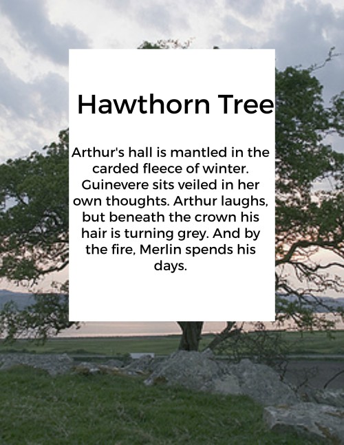 arthurianwriter: Heather Dale- The Trial of Lancelet Album (2000) 