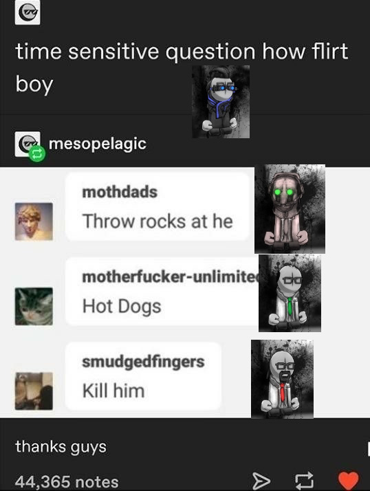 Tumblr media