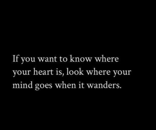 speak-softly-my-love:  yes