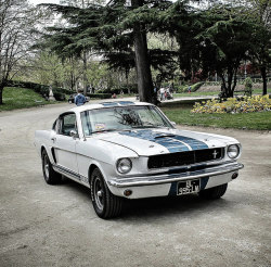 breizhell:  Mustang GT350 on Flickr.Ford