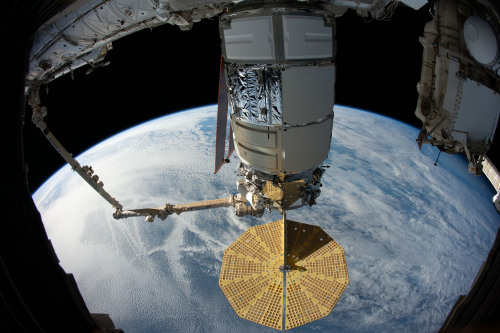NASA’s Image of the Day: The Cygnus space freighter is attached to the Unity module https://if