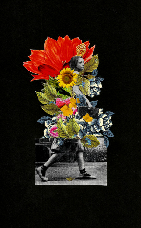 zmijowka:My entry for the next Collage Garden project