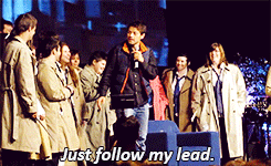 wearetusdayassbut:  cactusmisha:   misha frolics with his army of castiels and