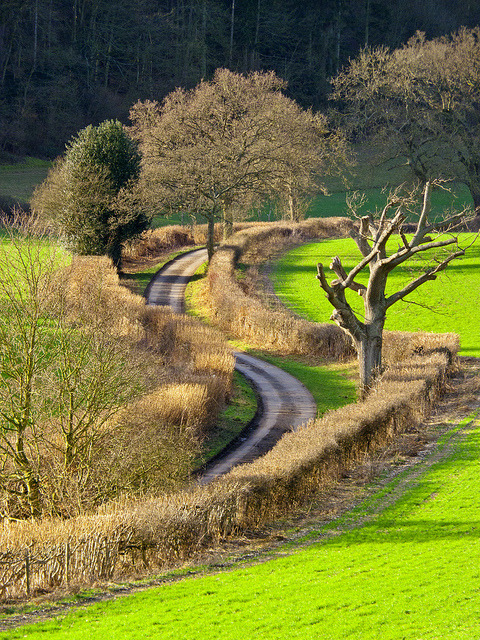 visitheworld:The winding country lane, Oxfordshire, England (by TonyKRO).