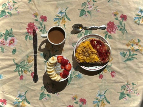 I Moved And Now I Get Sun In The Morning. Great News For Me. Eating The Same Thing Every Day.