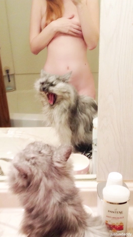 justusdaddy:  shower time! my kitty was being silly ~ 