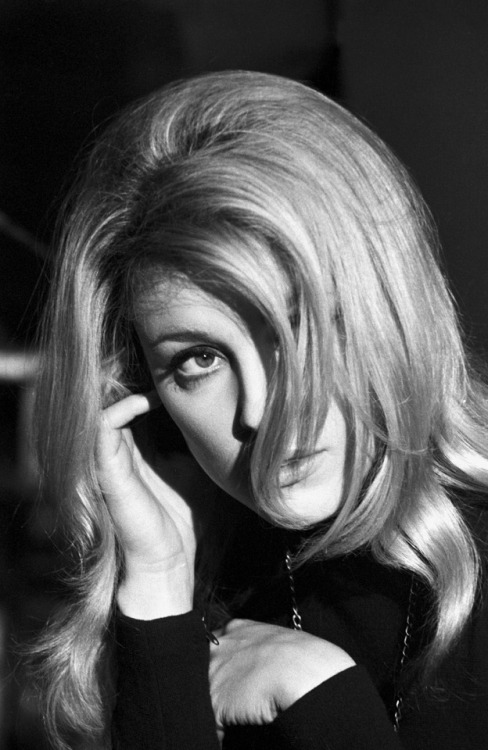 the60sbazaar - Sharon Tate