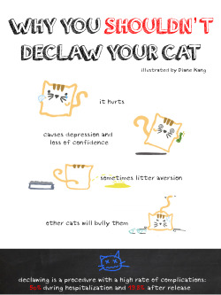 Intrepidcrow:  Brothasoul:  Hannahbluepanda:  Scratchingpad:  Why Declawing Is A