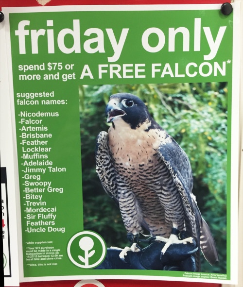 obviousplant:  I added some fake Black Friday deals to this store’s weekly in-store flyer 