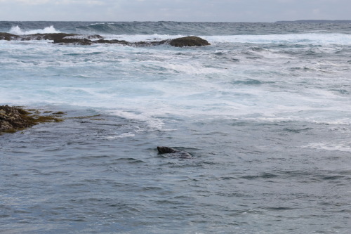 2022: Pillow lavas and tuff bedding at Red Head, likely Tertiary