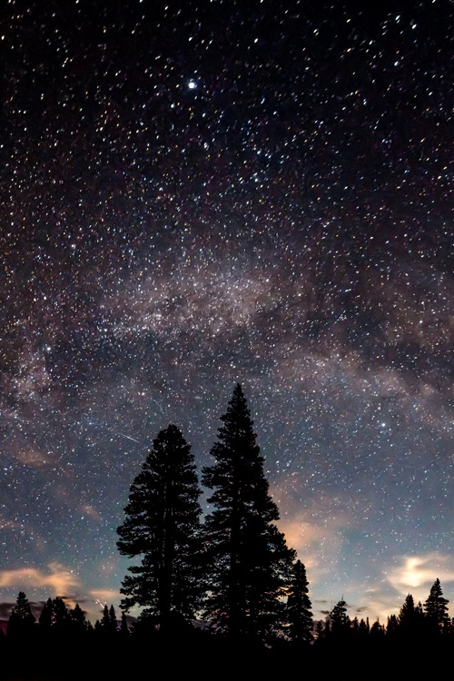 kushandwizdom:  More pictures here 