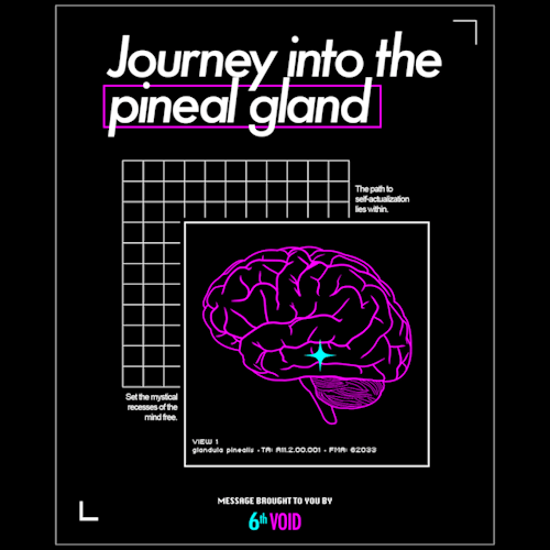 “Journey into the pineal gland” Volume I: Genesis // Instagram // 6th Void Radio
