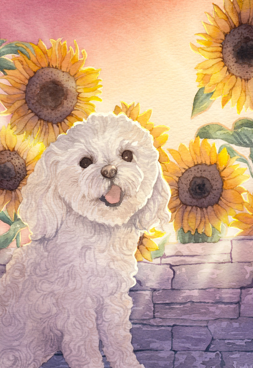 calioncreates:a big floof! (part of my dog tarot project)(watercolor with a touch of digital edits)I