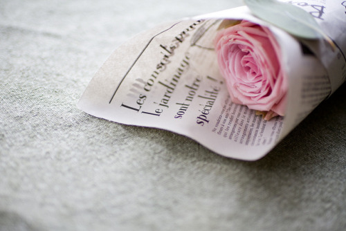 noceuse:  untitled by minato on Flickr. 