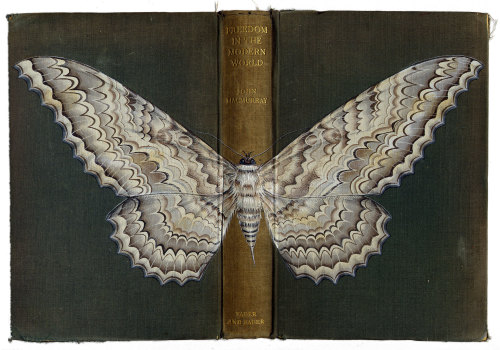 Cover ArtWest Wales-based artist Rose Sanderson uses worn out book covers as canvases for her insect