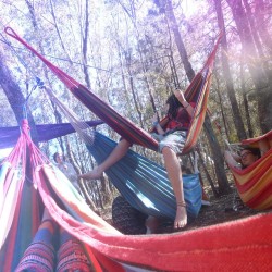 effervescentvibes:  barefoot-vegan:  This photo makes me so happy. Our hammock city at burning seed last year ⛺️🌲💕   good vibes here 