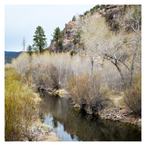 fatchance:Beaver pond.Gila River, at Gila Cliff Dwellings National Monument, near Silver City, New M