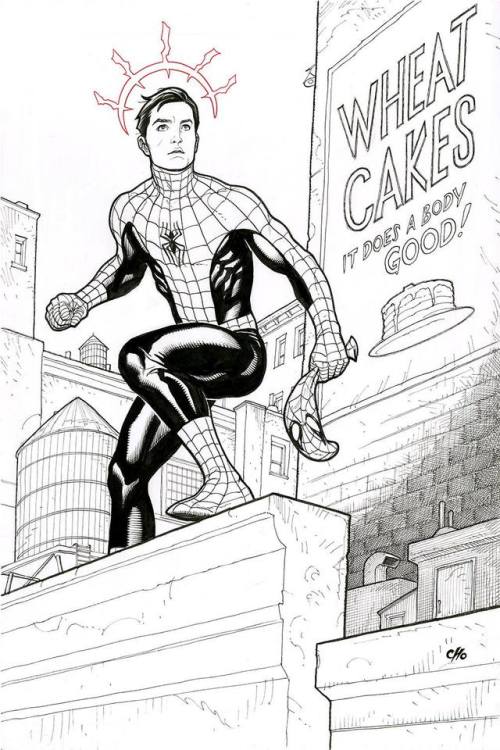 bear1na:Peter Parker - Spider-Man by Frank Cho *