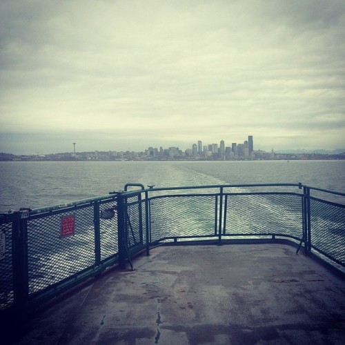 I Missed You #seattle #beautiful #overcast #pnw #typical #illlivehereoneday