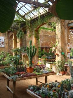 enochliew:  Hivernacle  A greenhouse and