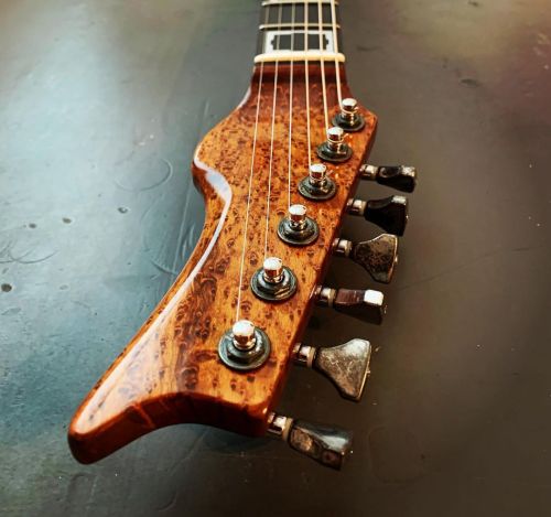 Beautiful roasted maple headstock on this M-tone Toquepala. #torifiedmaple #handmadeguitars #boutiqu