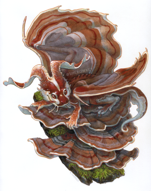 ‘King of Trametes’, a fungi-mimic dragon created for issue 9 of 3DTotal’s GRAPHITE magazine, availab