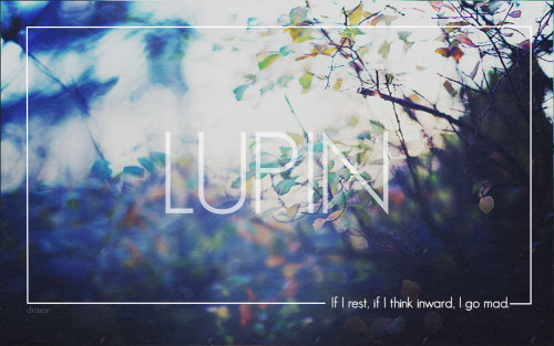 zcbini:  Names » favorite quotes [ Vol.3 ] “The gods envy us. They envy us because we’re mortal, because any moment may be our last. Everything is more beautiful because we’re doomed. You will never be lovelier than you are now. We will never be