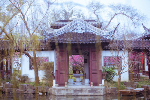 fuckyeahchinesegarden:suzhou garden by 白墙下的花园