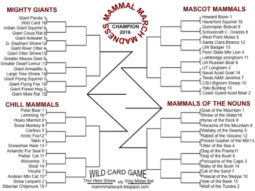 Mammal March Madness begins!Like NCAA, but better. Scientific literature is cited to substantiate li