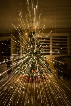 arosefromanotherdimension:  stunningpicture:  Zoomed out while taking a picture of my Christmas tree  [CHRISTMAS INTENSIFIES]   Cool!