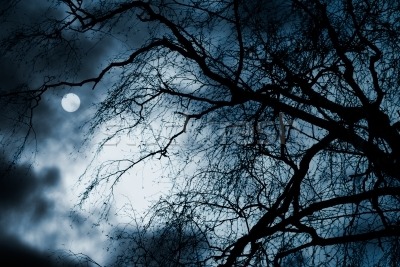 To Run In The Shade And To Bring Down The Blade...