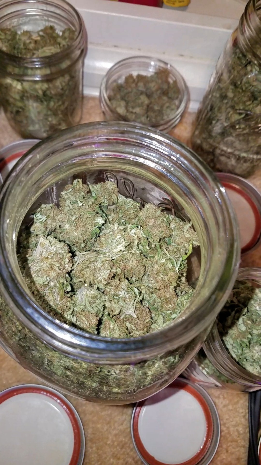 Mostly About Cannabis! — This room smells so good right now!