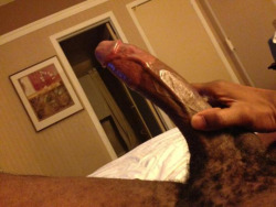 Black Cocks Raw