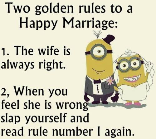 gotitforcheap:  can’t wait to be in a loveless marriage for tax benefits with a woman who communicates to me via minion memes she’s printed out and left on the fridge 