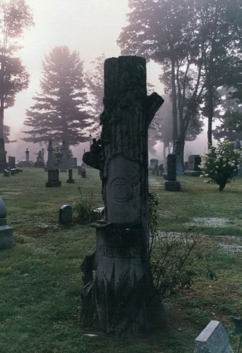 dementium-rabbit: A foggy cemetery By Kaylah. Cleveland