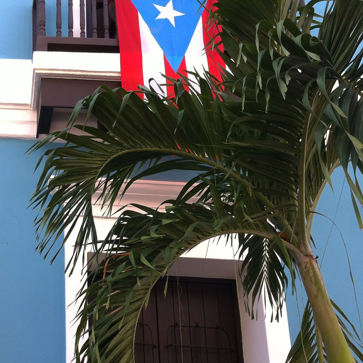 fotosdemicamara:  Qué bonita bandera, qué bonita bandera es la bandera puertorriqueña.