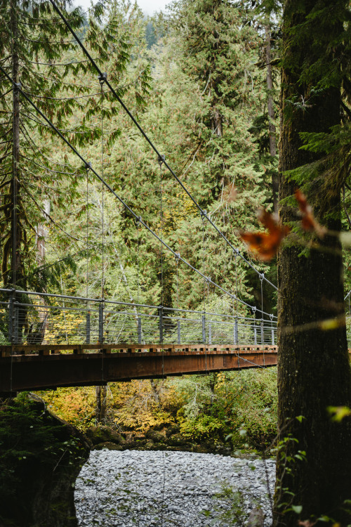 Bridge To Daylight