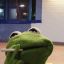 frogs00