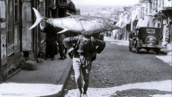 historium:A fisherman in Istanbul in 1930