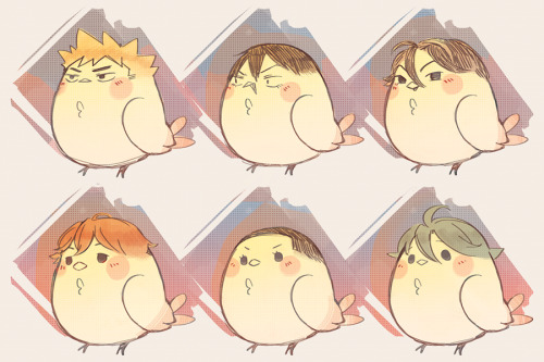 Hakogaku birds from the months ago ywpd_69 on twitter _(:3 」∠)_