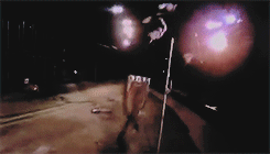 The End Live At Hollywood Bowl, 1968.