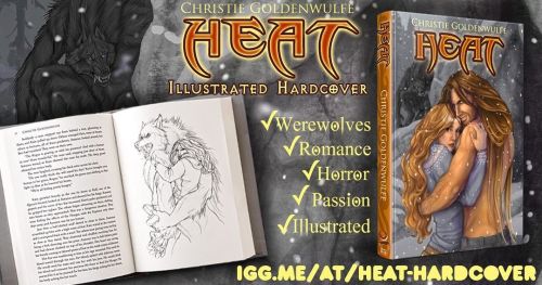 The funding campaign for the Illustrated Hardcover of Heat is now LIVE!! Get after it! https://igg