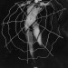eyesaremosaics:Burlesque dancer Carole Jayne- The Spider Girl, 1940s