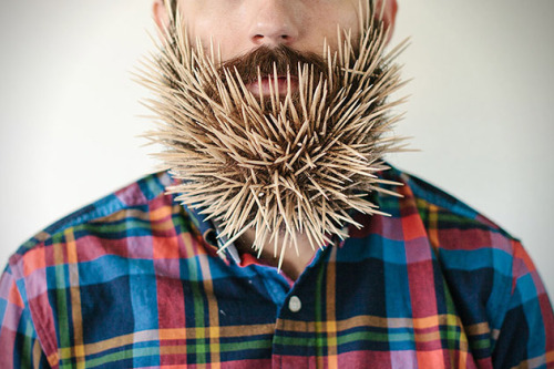 brain-food:  Photographer Stacy Thiot’s Tumblr project, Will It Beard, involves her husband’s beard and sticking as many unusual things as she can find in the thick thicket of facial hair—and then taking photographs of it. 