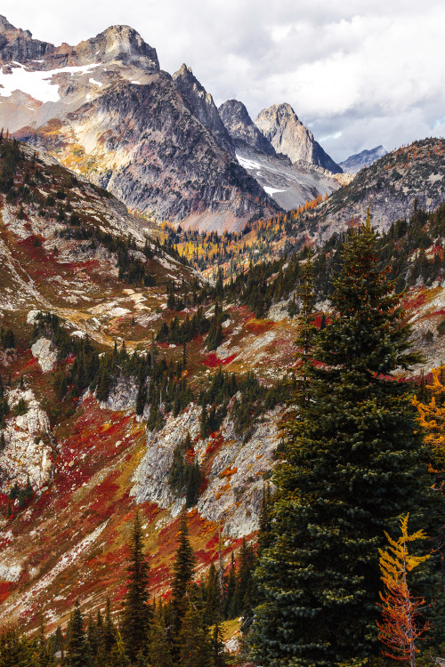 brianstowell:  Just returned home from an incredible week long hiking trip hunting down autumn colors in the pacific northwest. Here’s one from North Cascades National Park in Washington. Many many many more to come. 