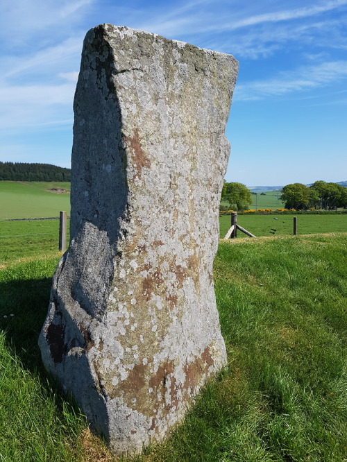 Easter Aquhorthies Neolithic Recumbent Stone Circle, Aberdeenshire, 19.5.18.