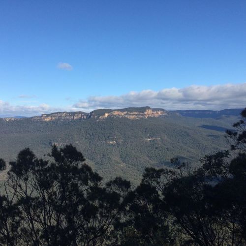 This mornings pre-work walk down into the valley and back #nude #nakedinnature #bushwalking #hiking 