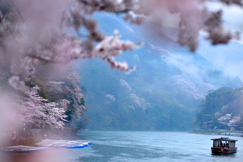 floralls - spring in Japan by  Jennifer 真泥佛