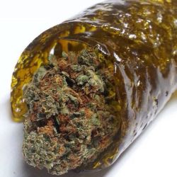 ganjuana:  Jesus titty fuckin… -Ganjuana.com