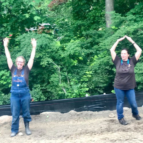 We’ve been placing and planting large trees to screen a newly constructed townhouse these past